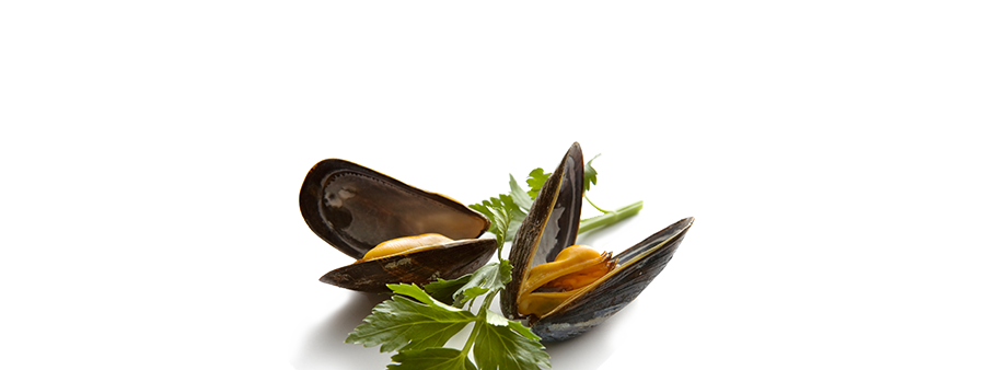 slider_mussels.png